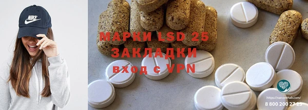 PSILOCYBIN Бородино