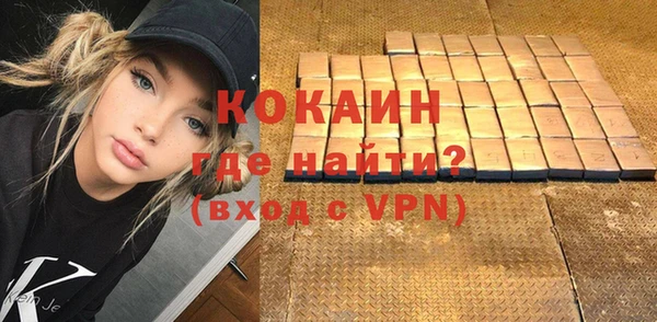 PSILOCYBIN Бородино