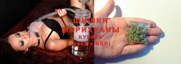 PSILOCYBIN Бородино
