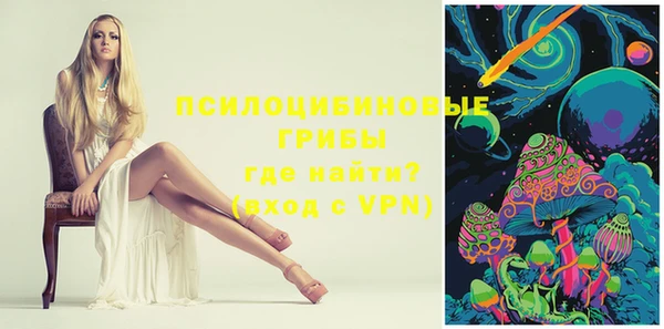 дурь Бронницы